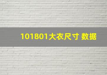 101801大衣尺寸 数据